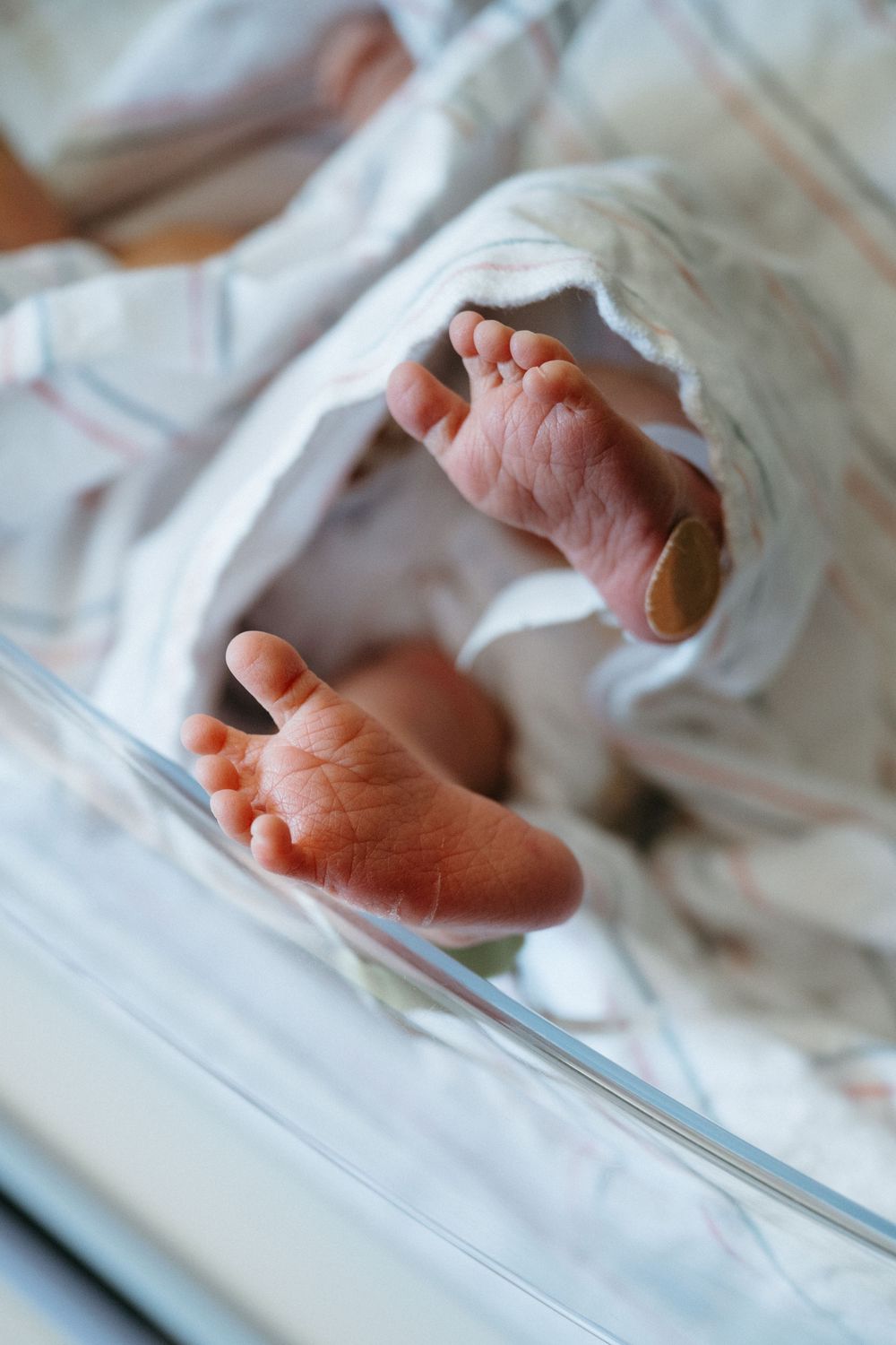 Close-up of newborn baby feet wrapped in a white hospital blanket in a clear bassinet.