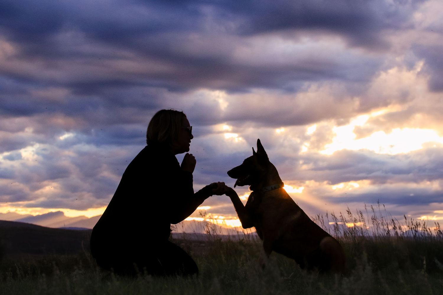 Silhouette of a person and dog shaking hands at sunset with dramatic clouds.