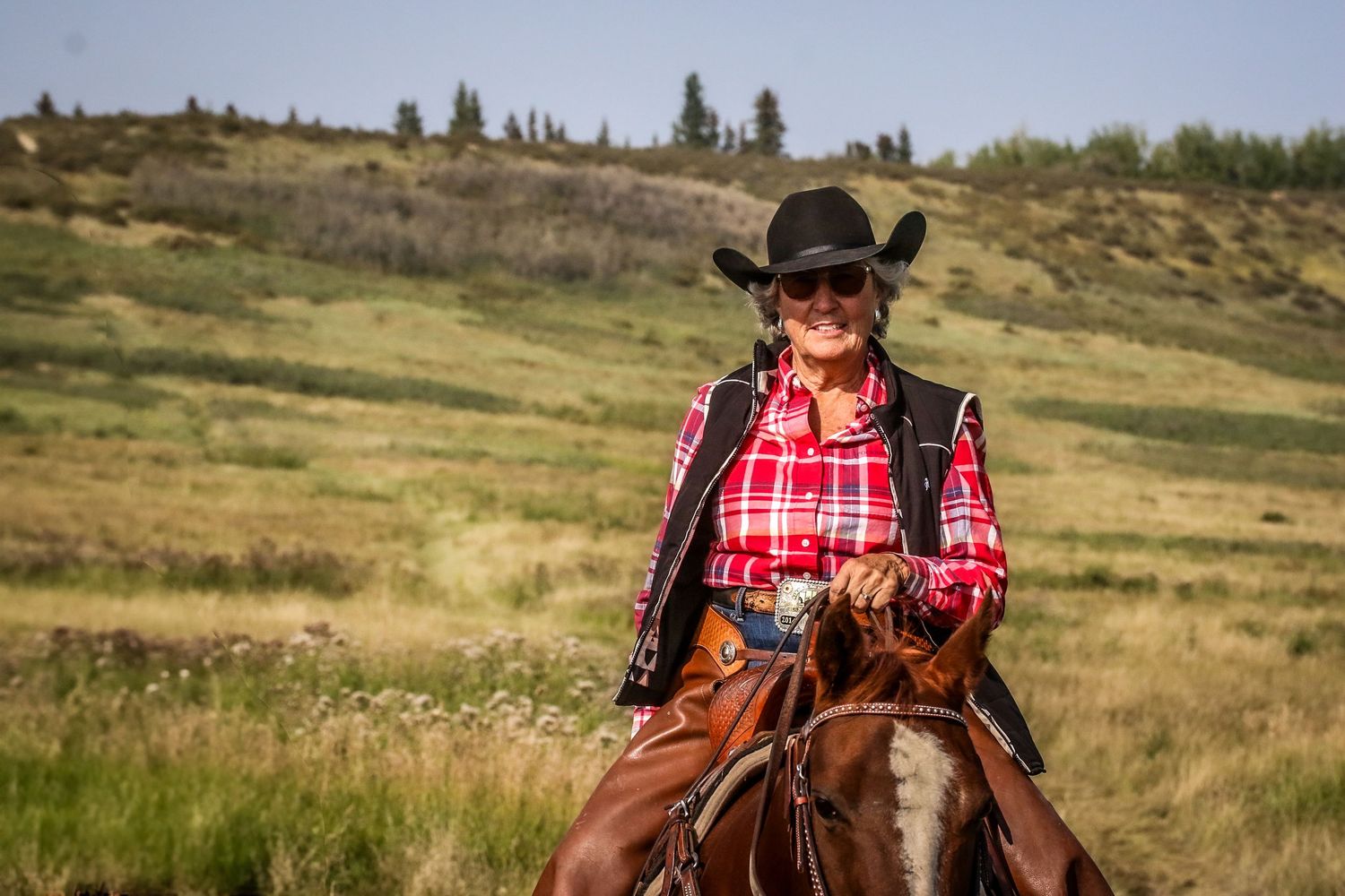 A woman in a black cowboy hat and plaid shirt rides a horse through a lush green field.