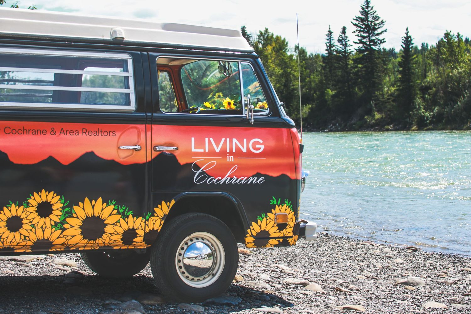 Vintage red VW bus decorated with sunflowers and Living in Cochrane branding parked by a river.