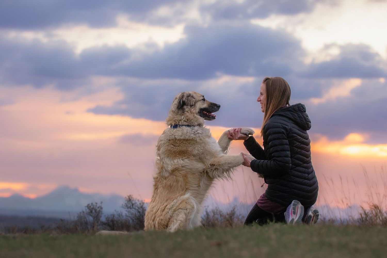 A woman kneels at sunset holding paws with a large fluffy dog on an open field.
