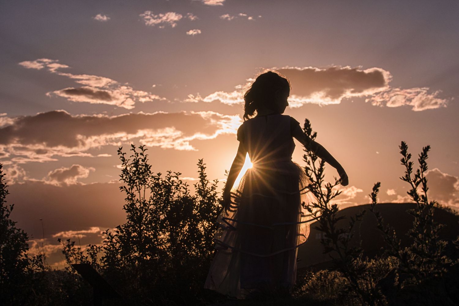 Silhouette of a young girl in a dress standing among plants against a golden sunset sky.