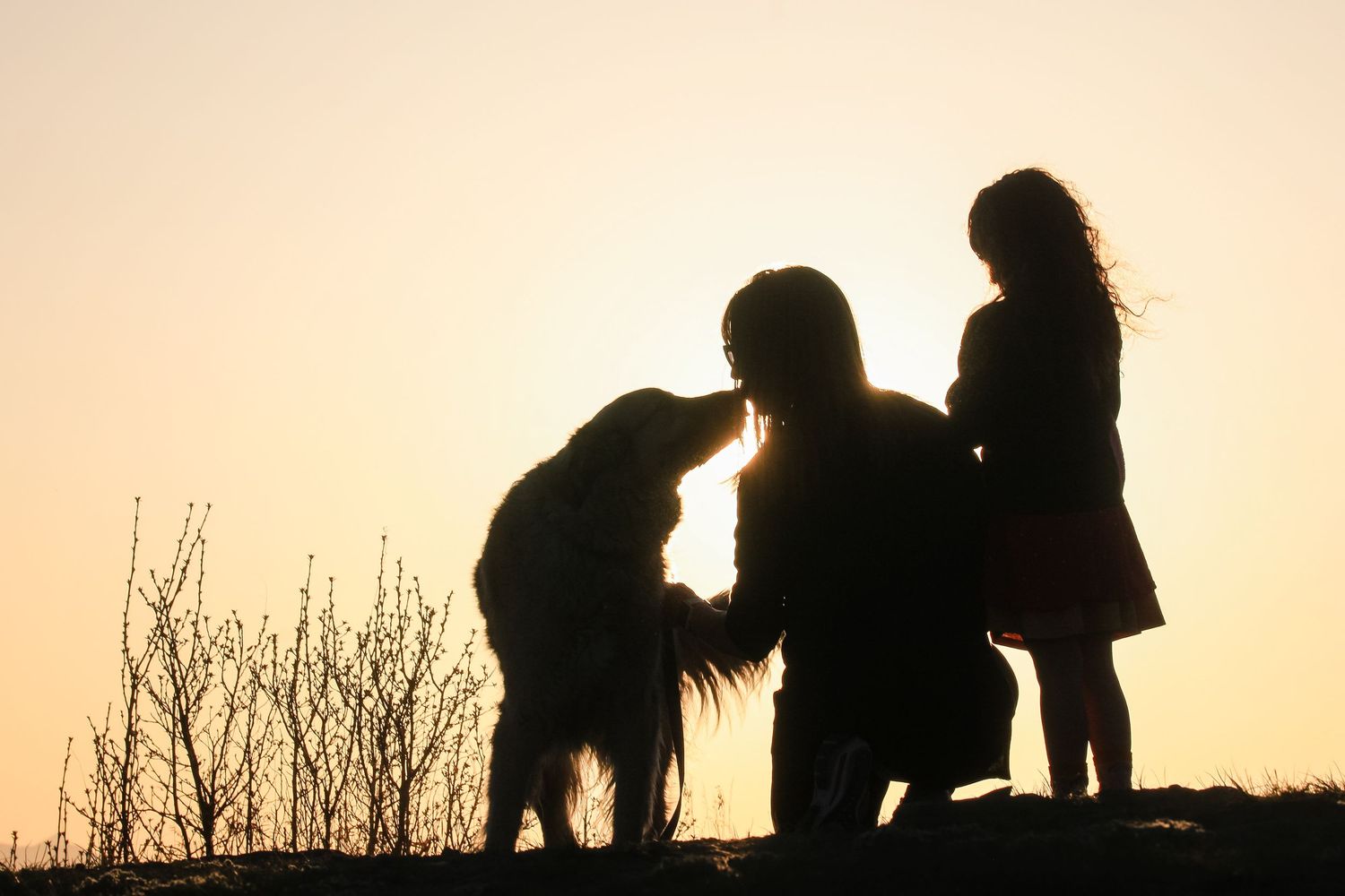 A silhouette of two people and a dog sharing a tender moment against a warm sunset sky.