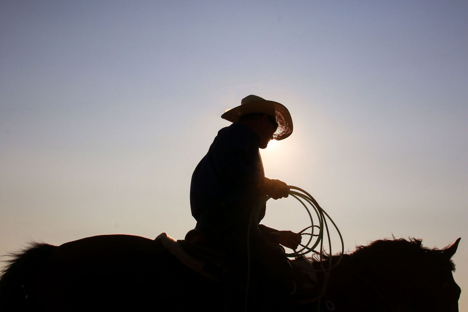 A cowboy on horseback holding a lasso is silhouetted against a glowing sunset sky.