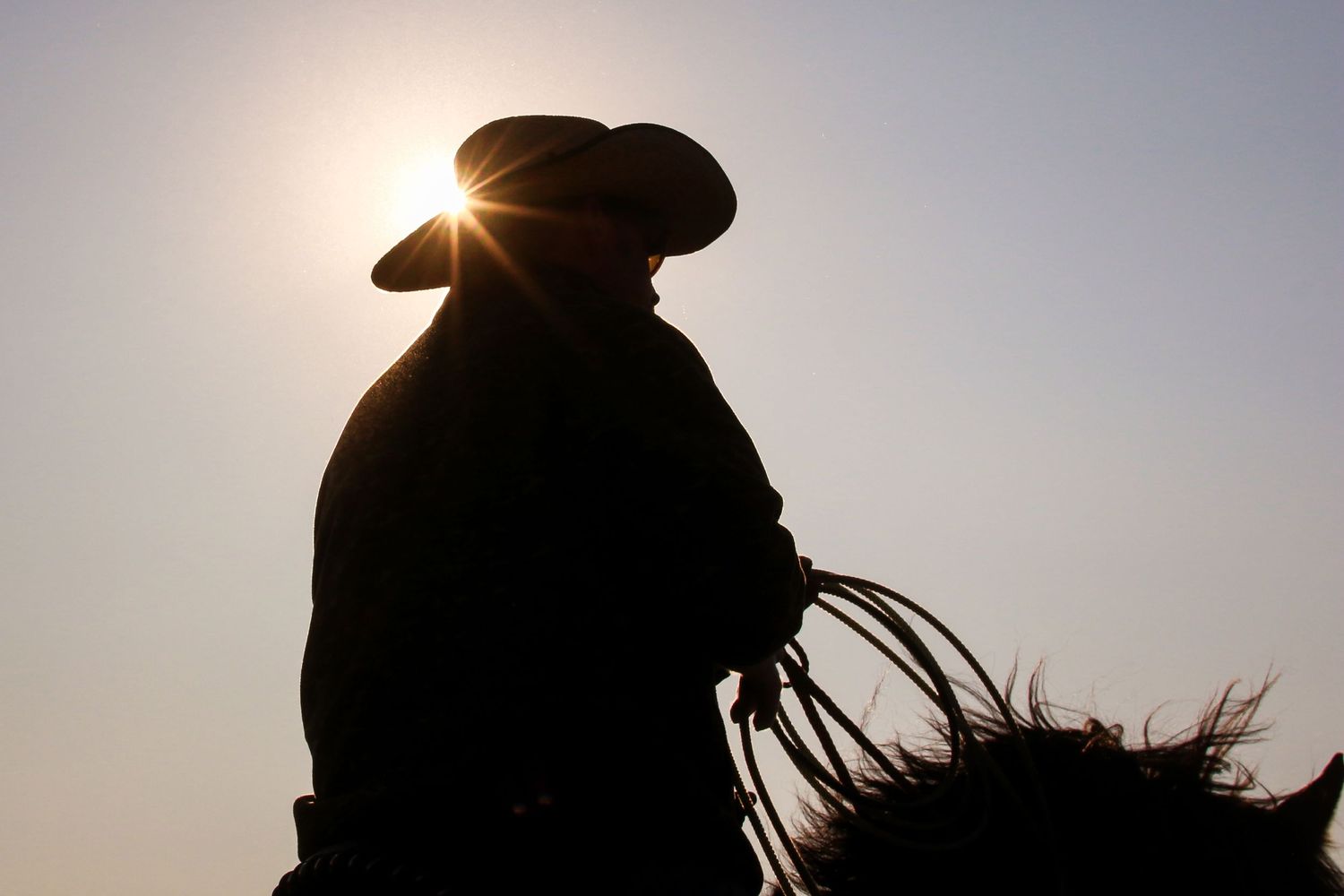 Silhouette of a cowboy on horseback holding a lasso with a sunburst behind him at dusk.