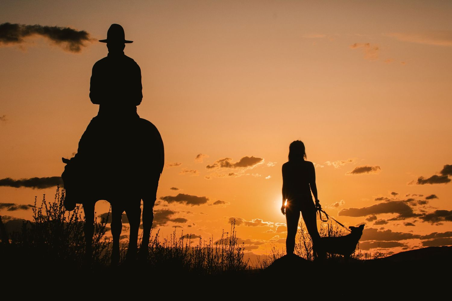 Silhouette of horseback rider and woman with dog against a warm sunset sky.