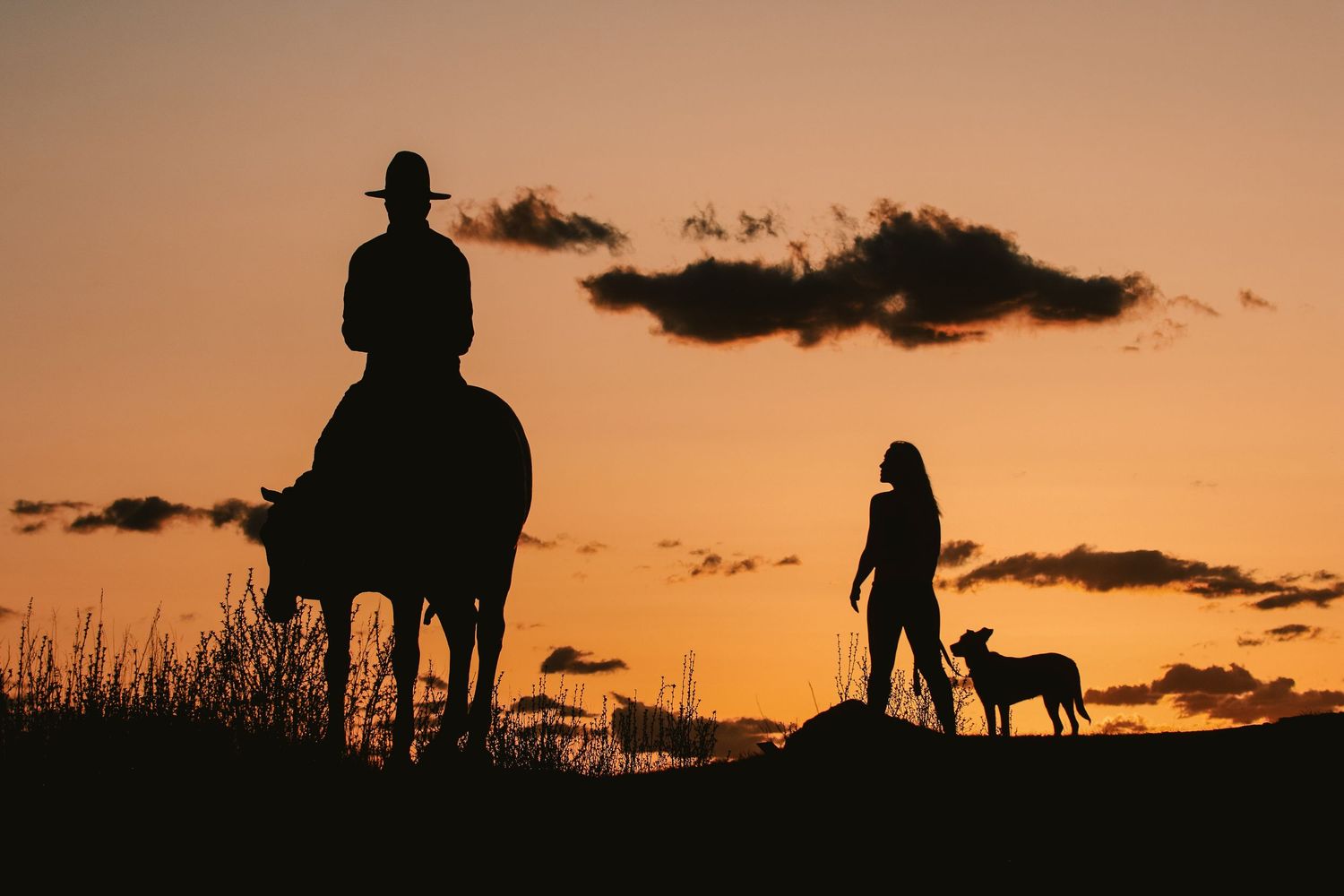 Silhouette of cowboy on horse and woman with two dogs at sunset.