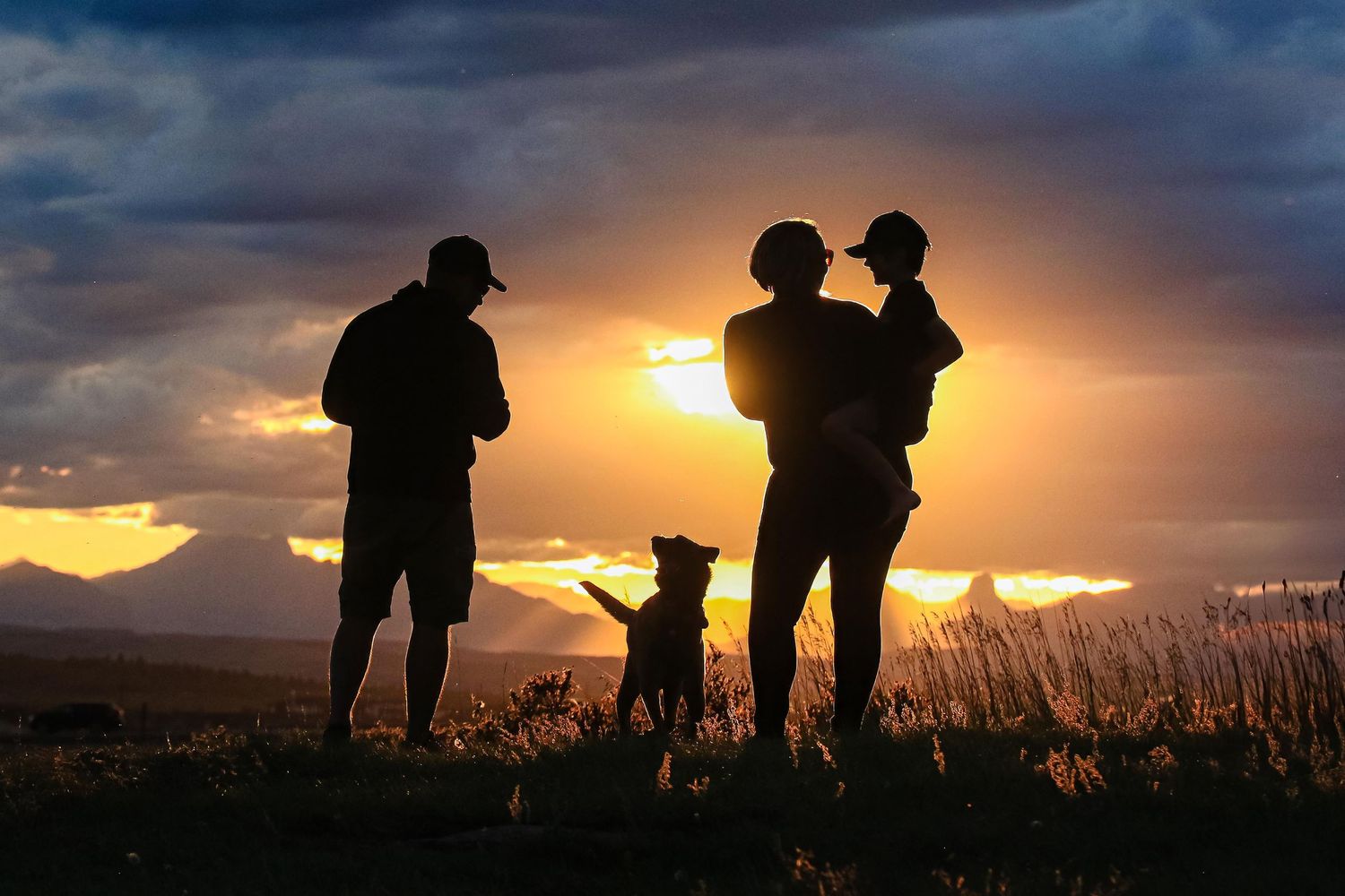 Silhouette of a family with a dog standing in a field during a vibrant sunset.