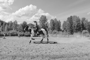 Horse and Rider Photo Wall Art