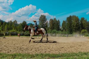 Cowgirl and Horse Photo Wall Art