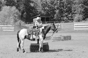 Cowgirl and Horse Obstacle Course Photo Wall Art