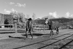 Mountain Horse and Rider Photo Wall Art