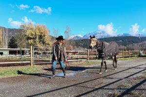 Mountain Horse and Rider Photo Wall Art Blue Sky