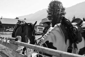 Horses and Rider on Ranch Photo Wall Art Black and White