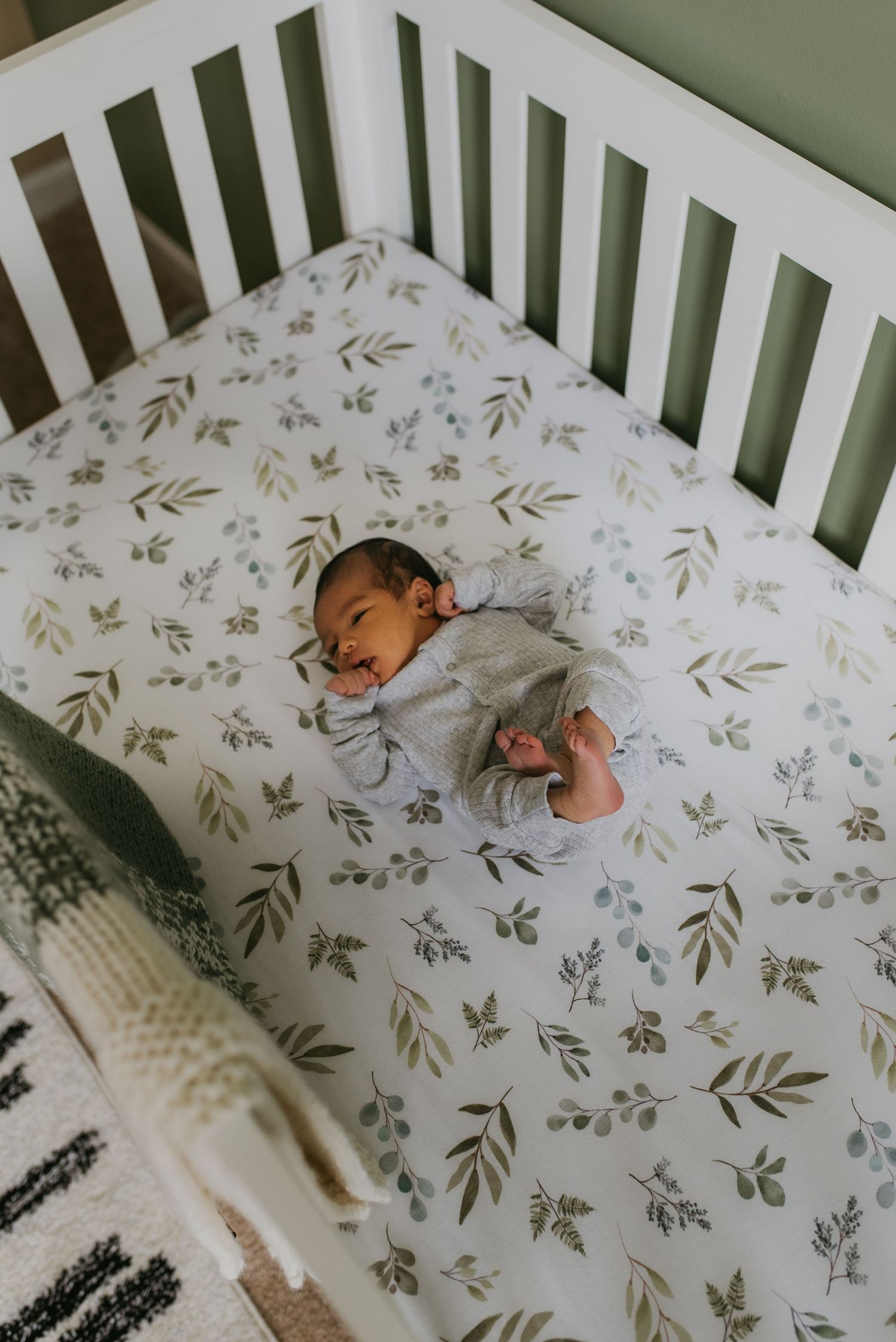 Knoxville newborn photography