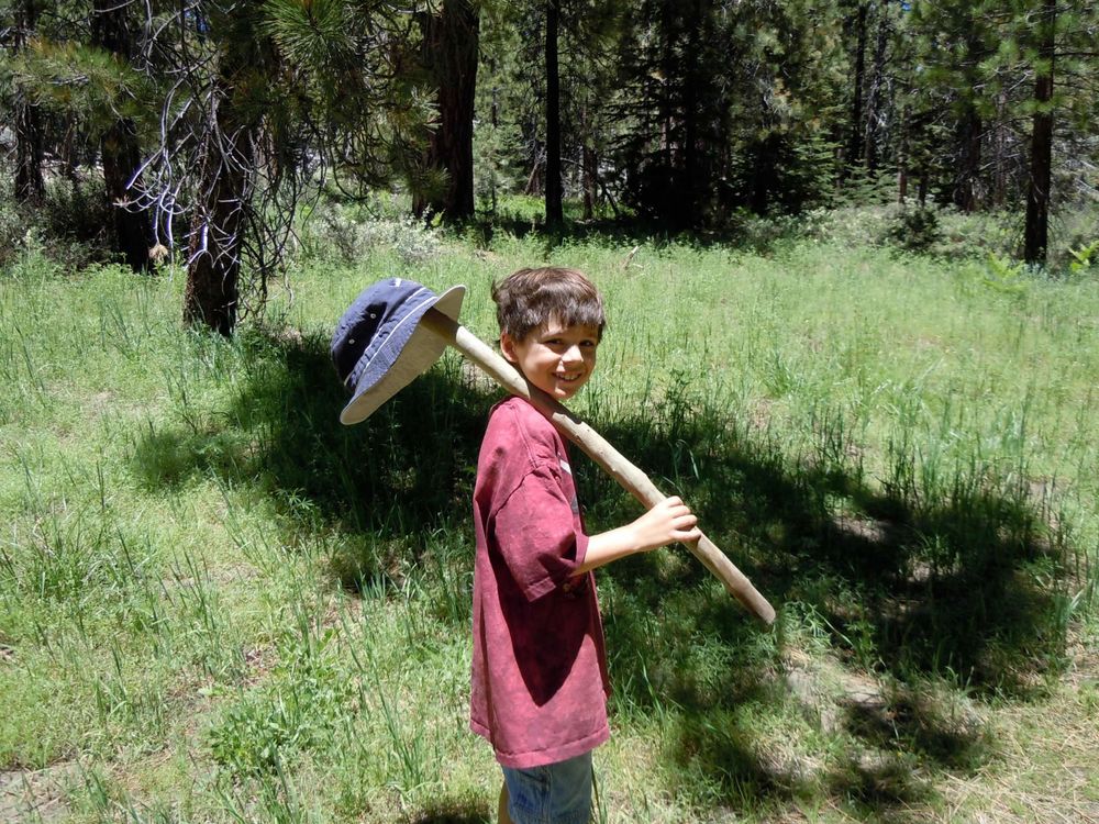 Person carrying shovel in red shirt hiking through wooded forest area.