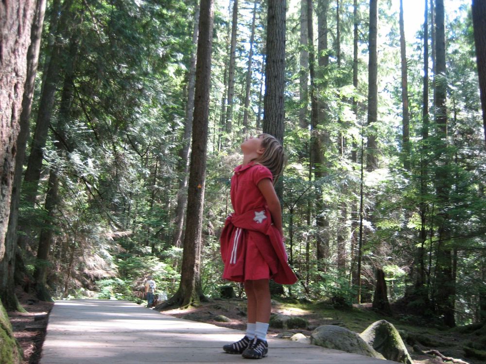 Person in red dress standing on wooden path through tall forest trees.