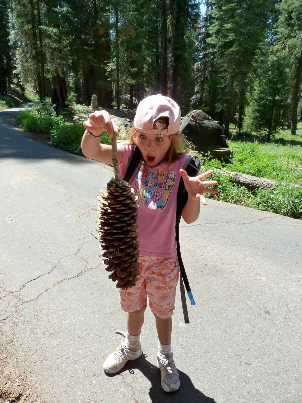 Child holding large pine cone on paved trail through forest wearing pink cap.