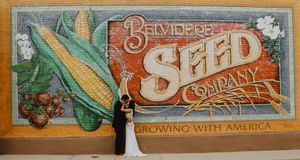 Vintage seed company signs displayed on rustic wooden wall.