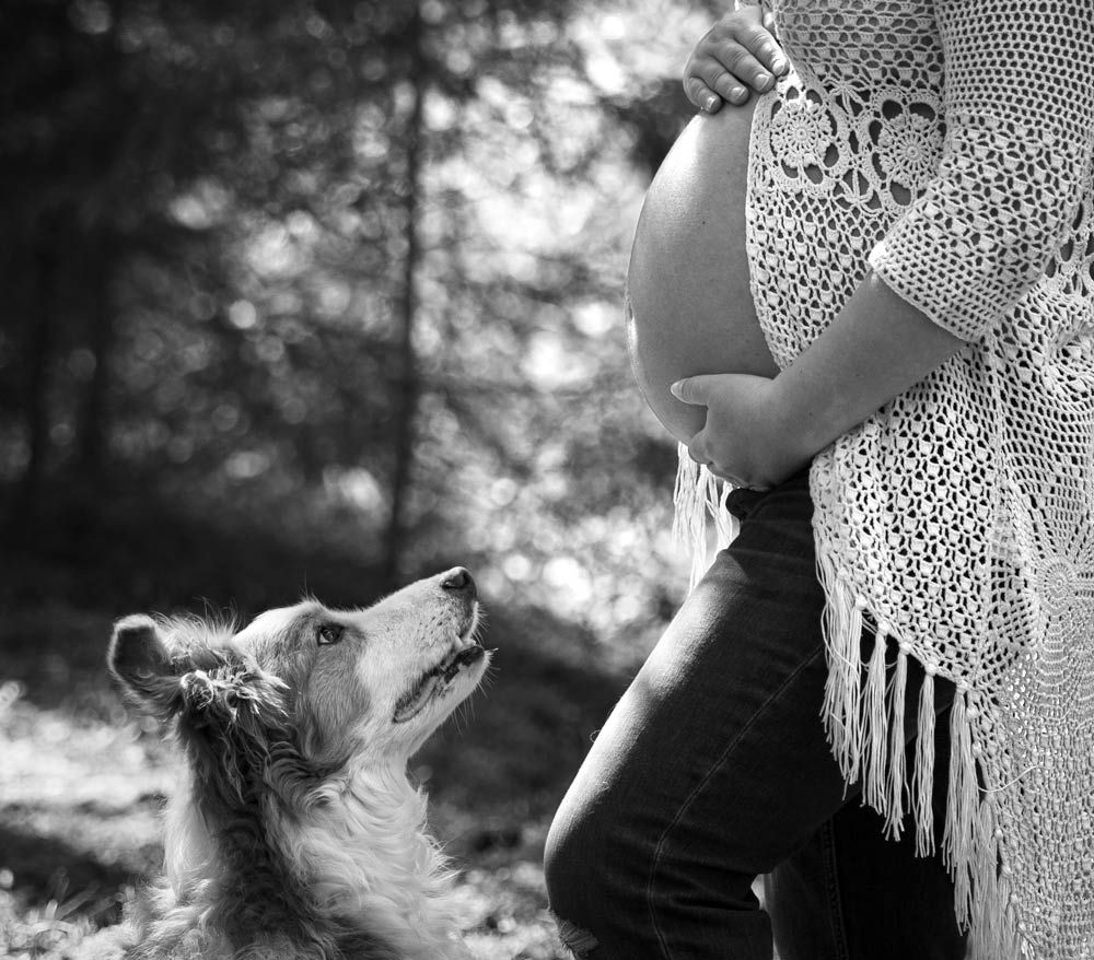 gravidmage, gravidkvinna, gravidfotografering, hundfotografering, svartvit foto