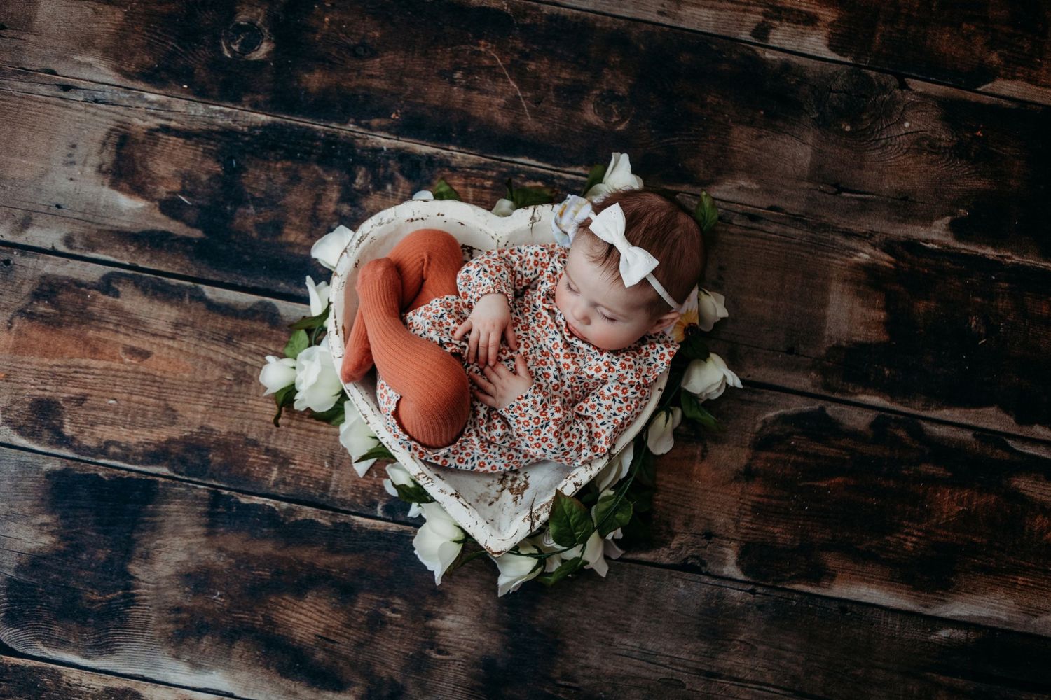 milestone sitter studio photographer studio trained skilled professional NY WNY East Aurora buffalo