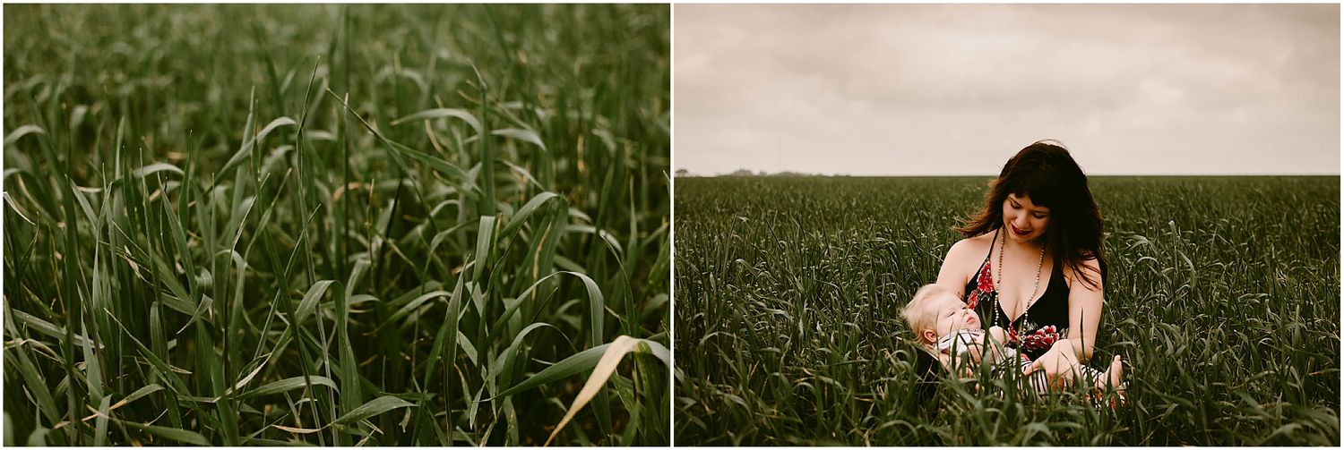 Diptych contrasting close-up of grass with distant figure in field.