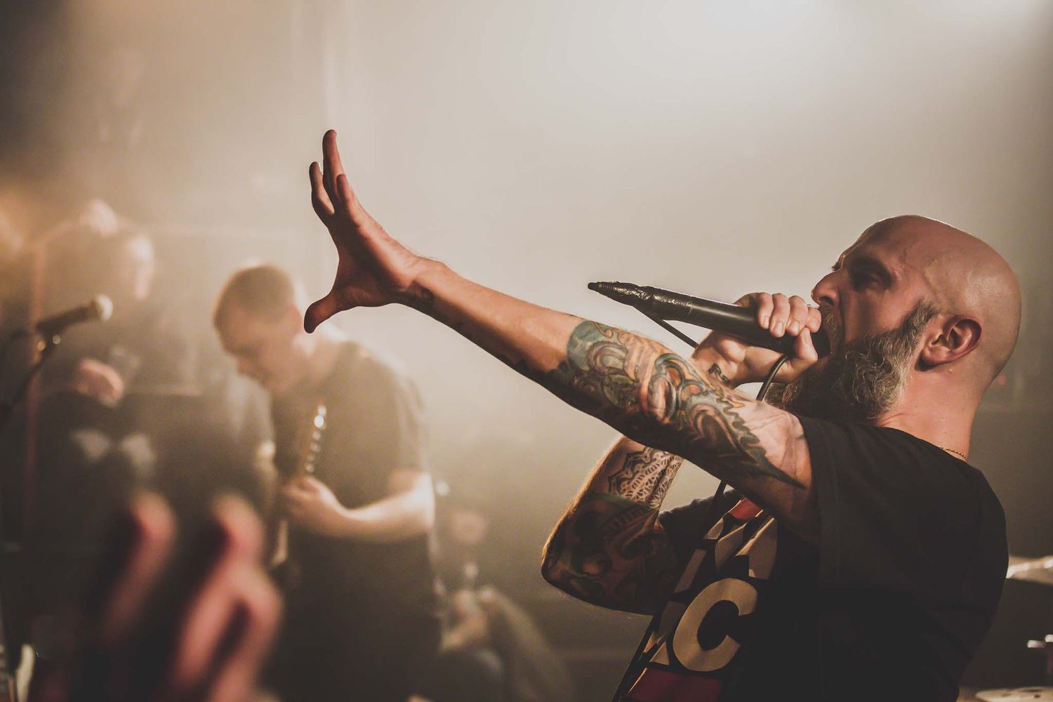 Photographe concert paris
