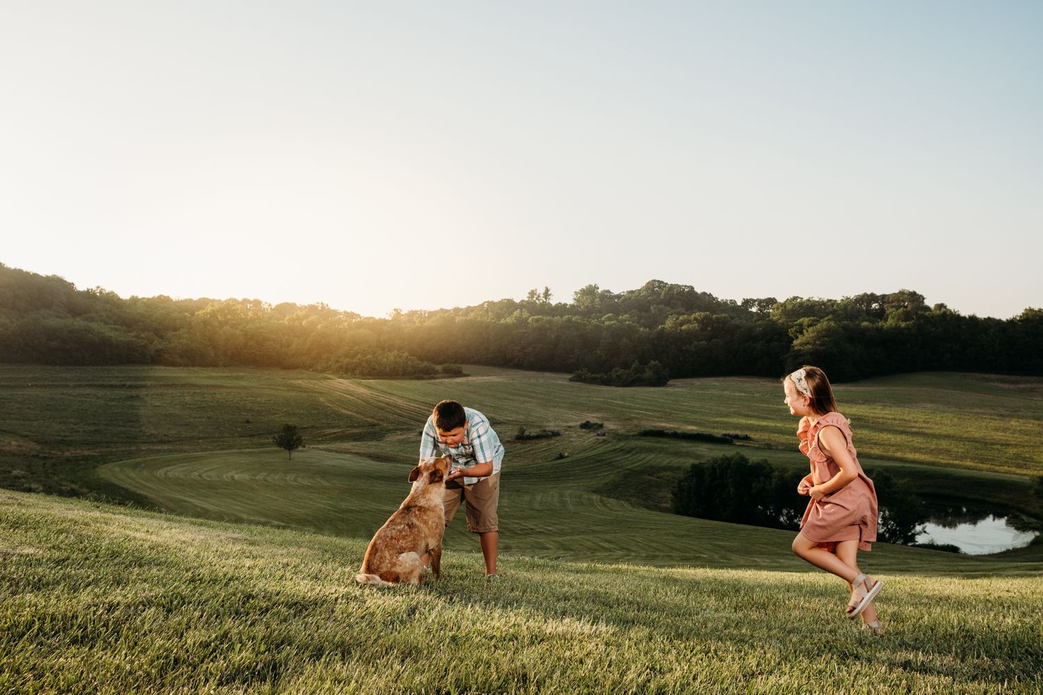 A boy pets a dog while a little girl runs through a field in Bella Vista, Arkansas during family photography.