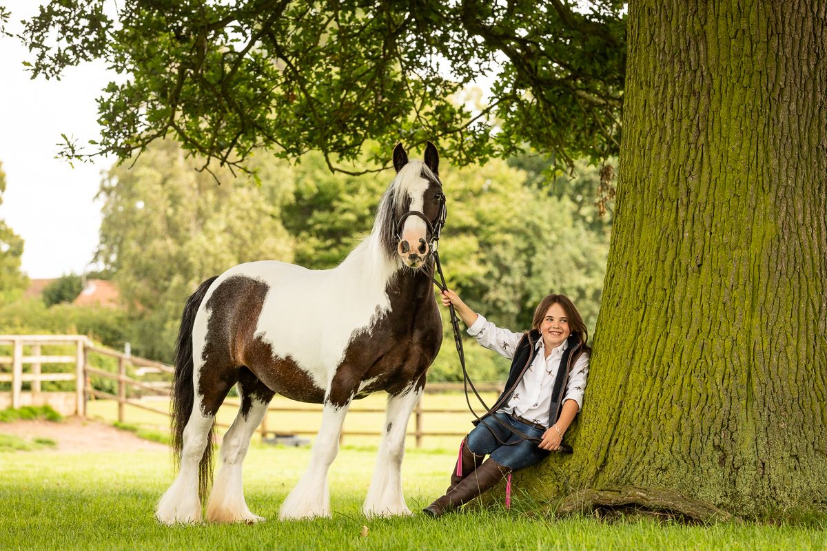 A black and white horse stands near someone resting against a large tree in a sunny field.