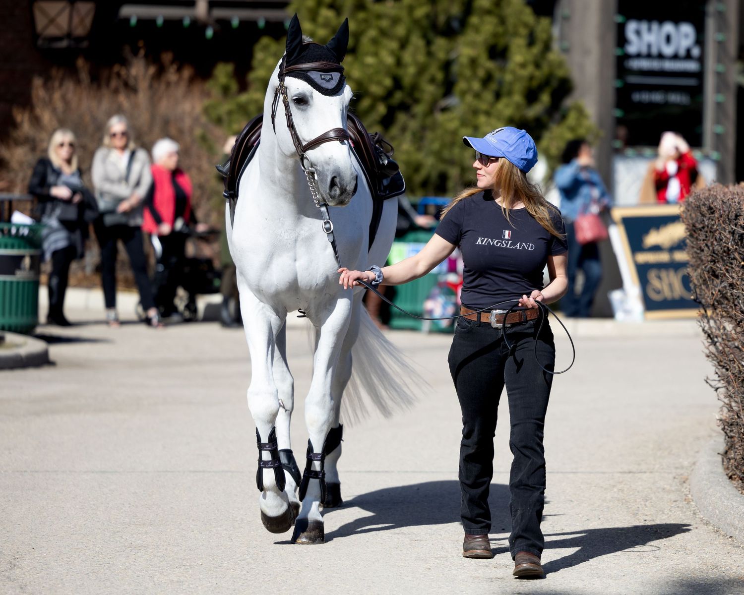 Person leading a white horse along a path with spectators in the background.