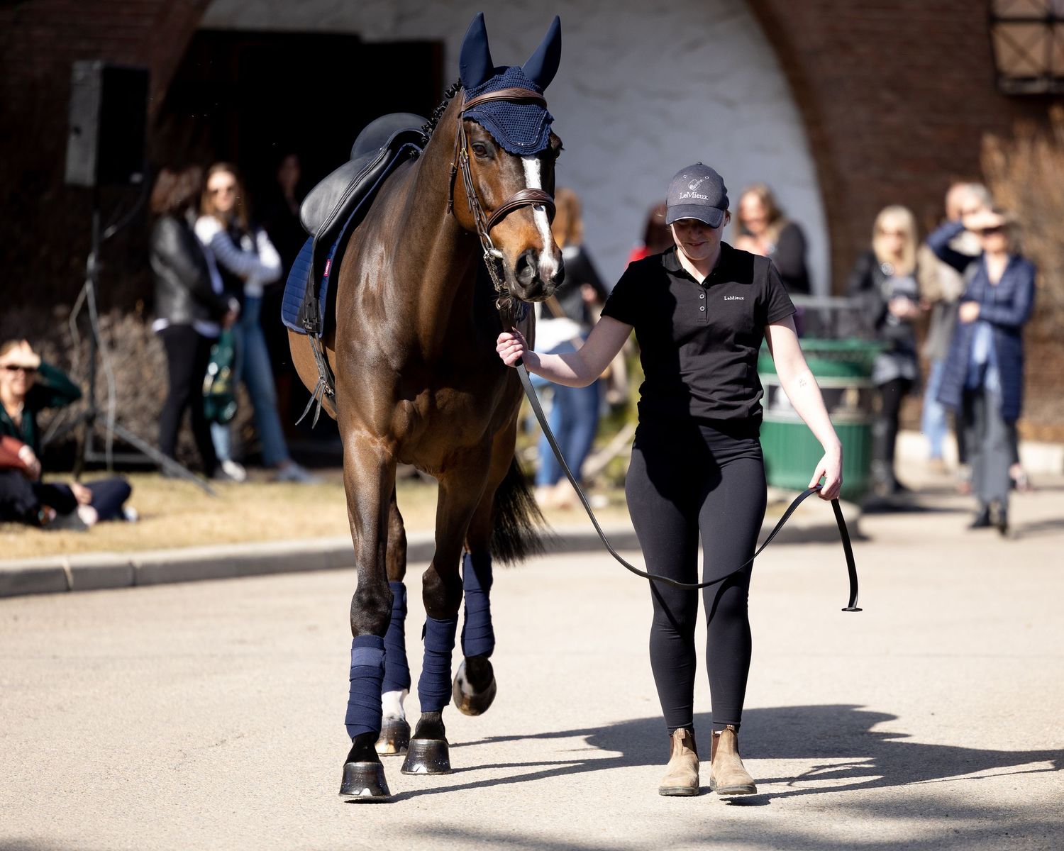 Woman leading a bay horse at an equestrian event with spectators in the background.