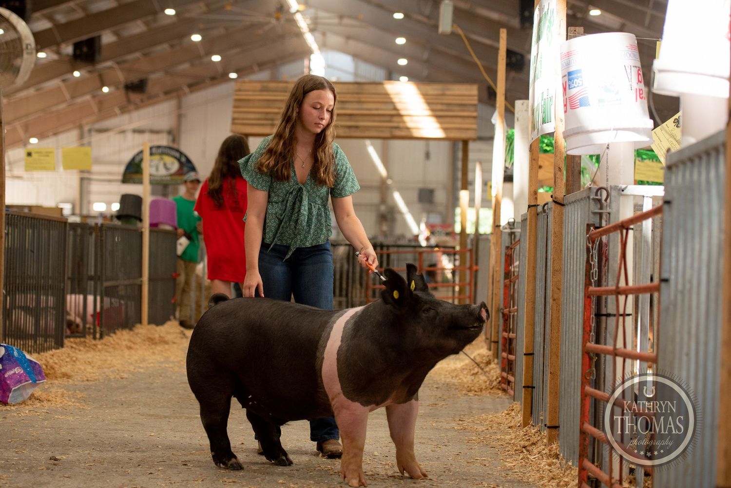 A black and red show pig being led through a barn walkway.