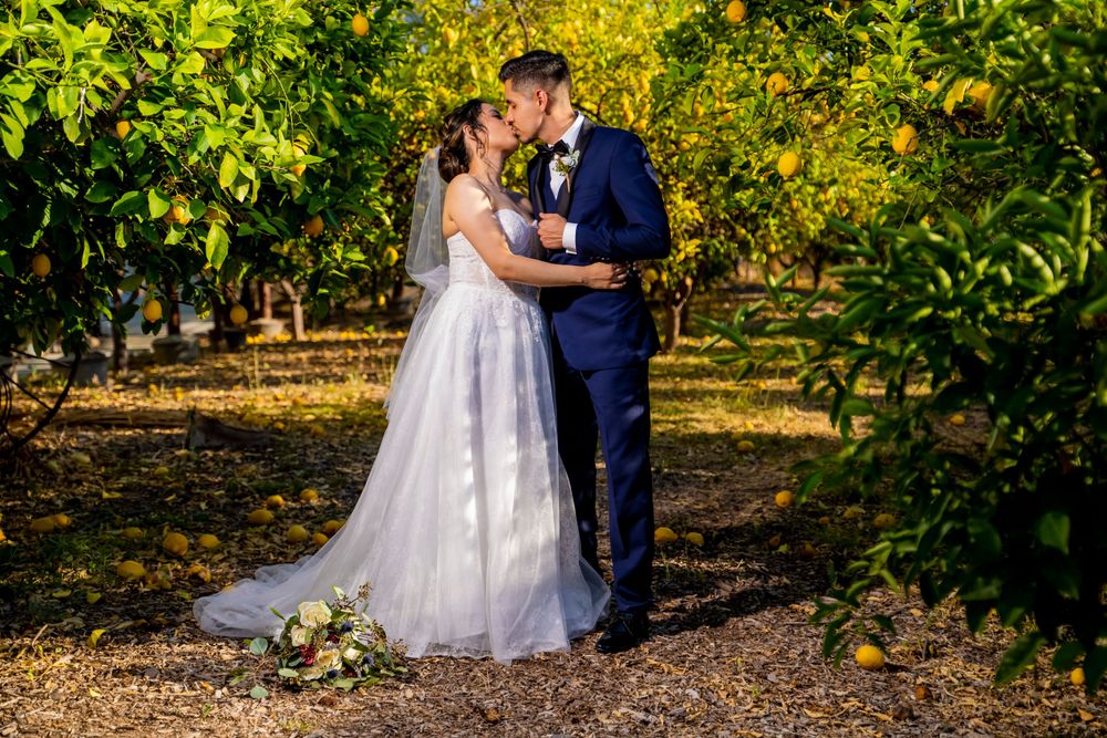 A romantic wedding portrait of a couple embracing in an orchard setting with golden sunlight.