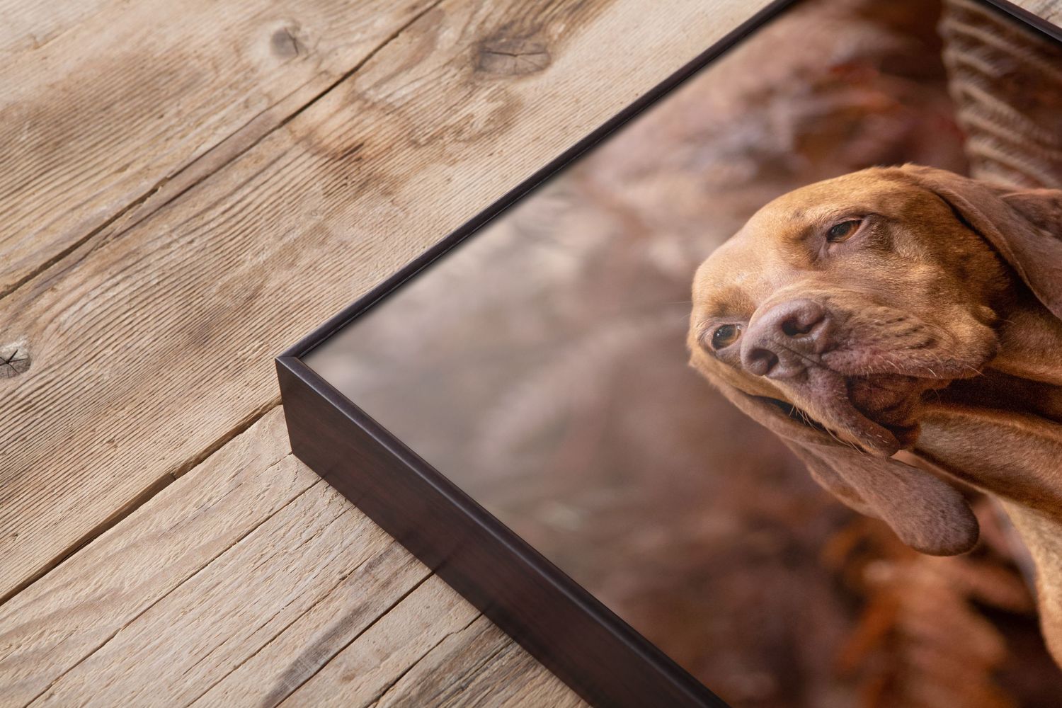 Close-up of framed dog portrait displayed on wooden surface.