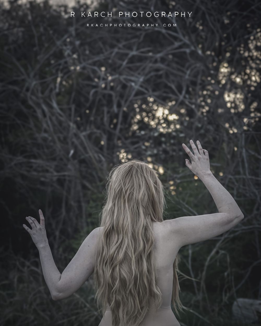 Artistic nude silhouette with raised arms photographed from behind in twilight forest setting.