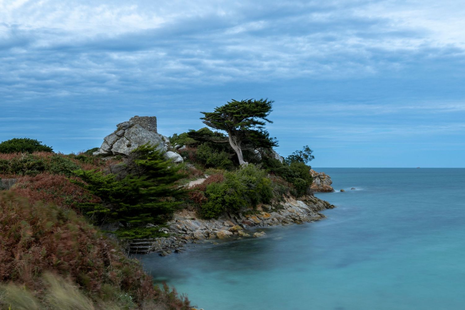 Rocky coastal outcrop with windswept tree against turquoise ocean waters.