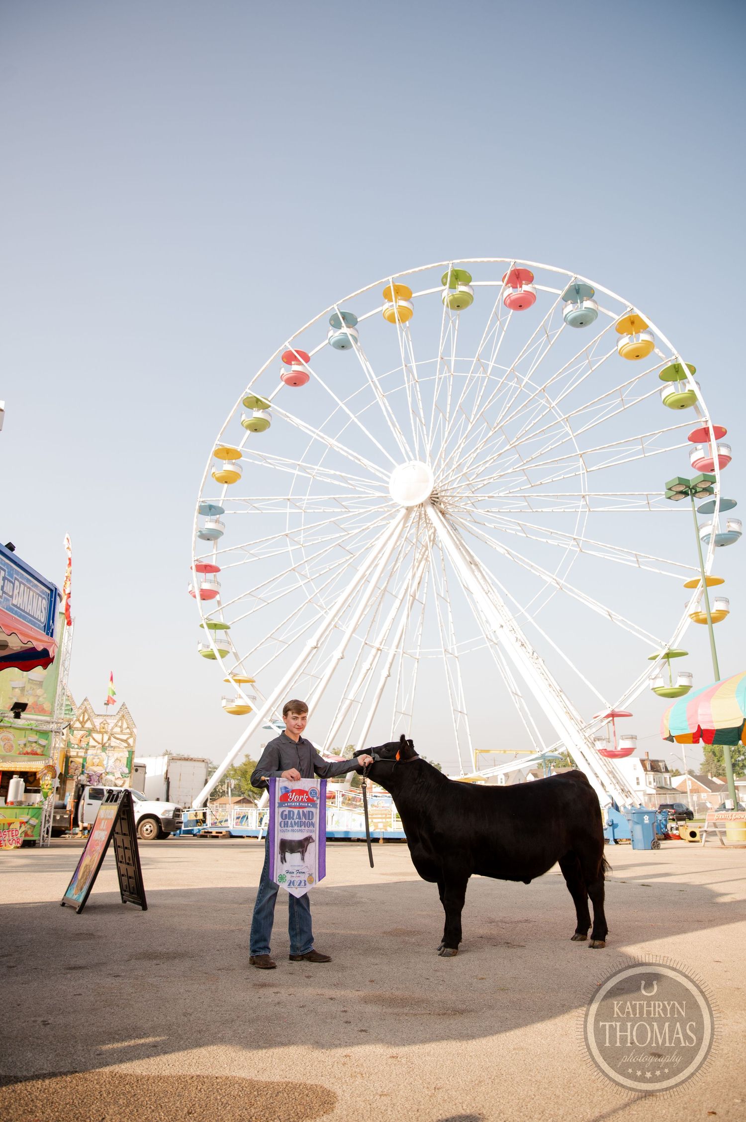 A large black cow stands in front of a Ferris wheel at a carnival fairground.