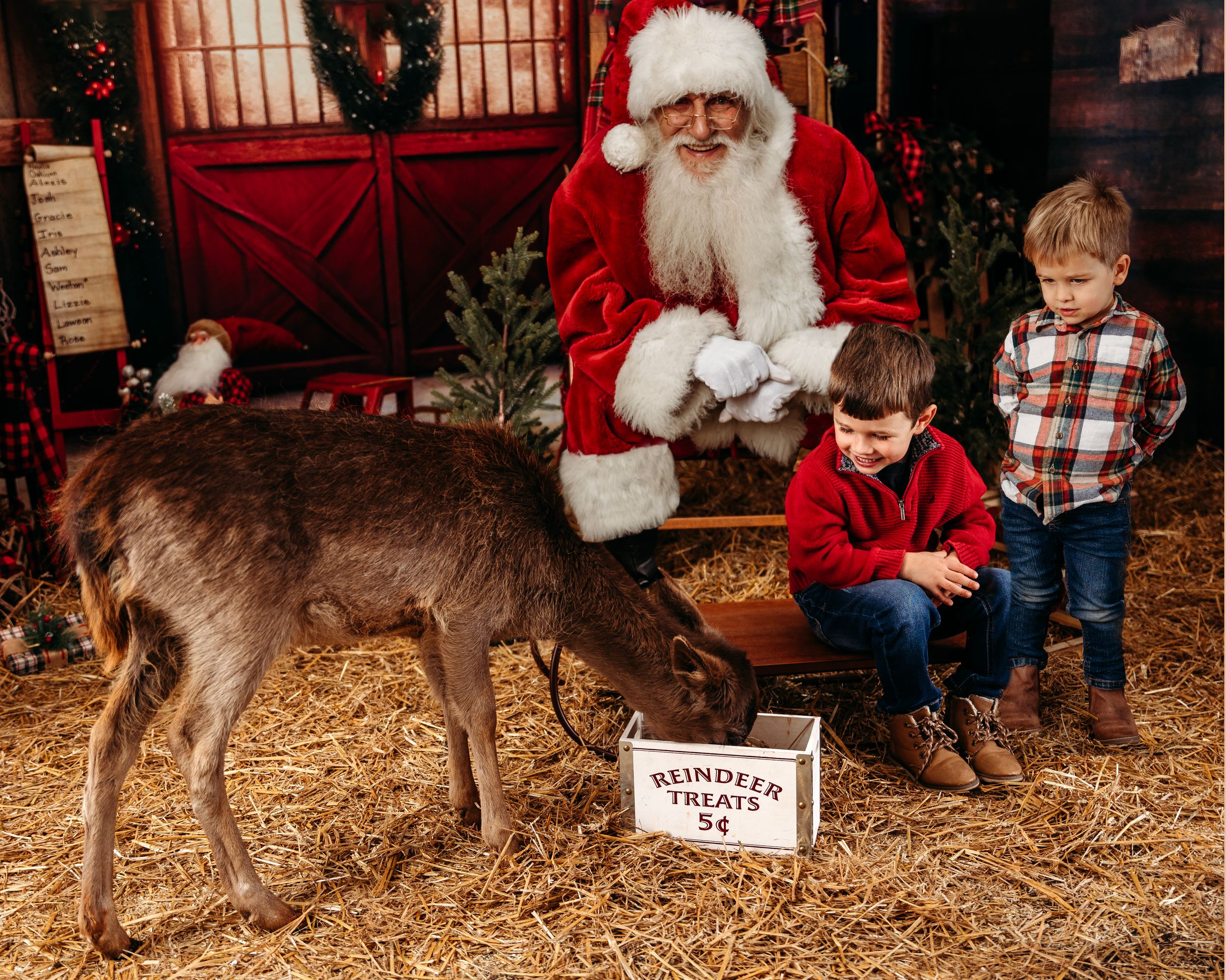 Christmas photo session in rustic barn setting with hay and festive decorations. Santa photographer