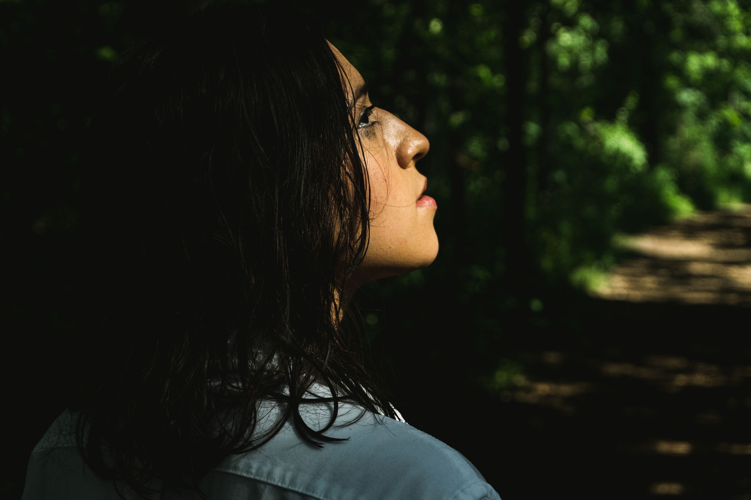 A side profile silhouette against sunlit foliage in a forest setting.