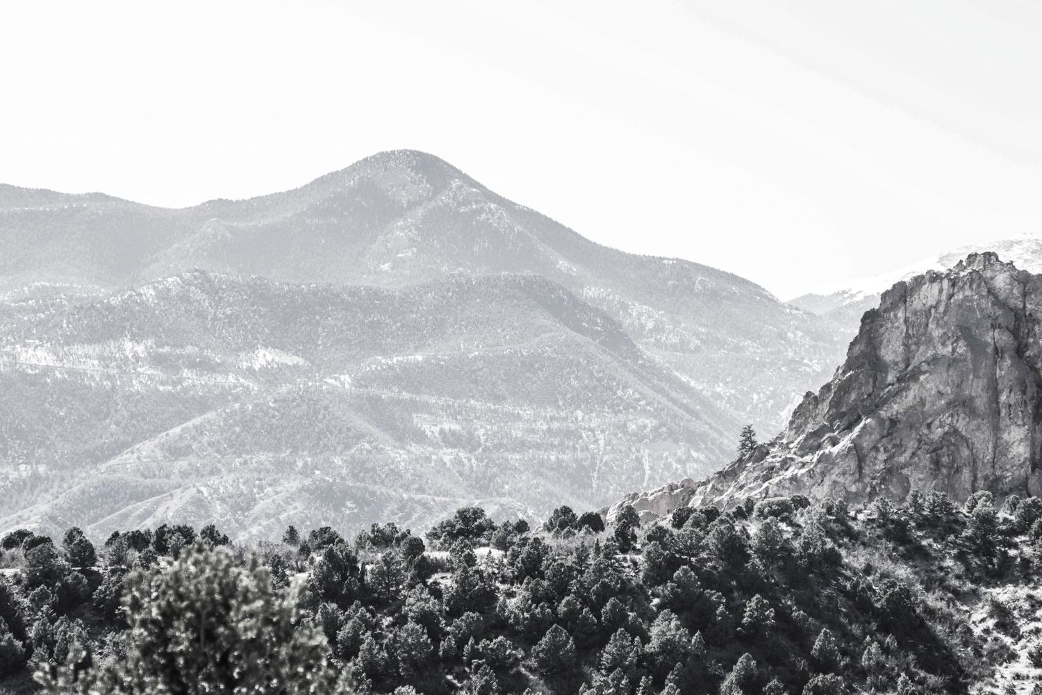 Black and white landscape of mountain peaks and rocky formations covered in pine forest.