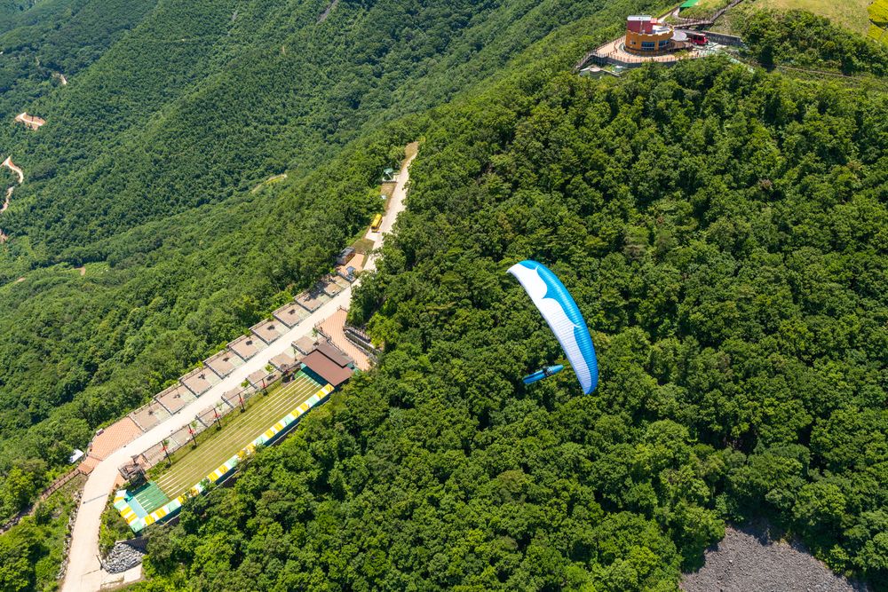 Blue paraglider soars above lush green mountain landscape with winding road below.