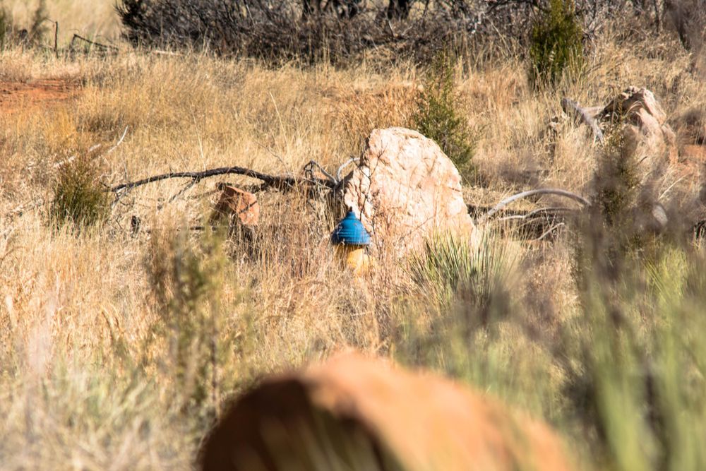 Rock climber in blue attire scaling natural boulder formation in dry grassland terrain.