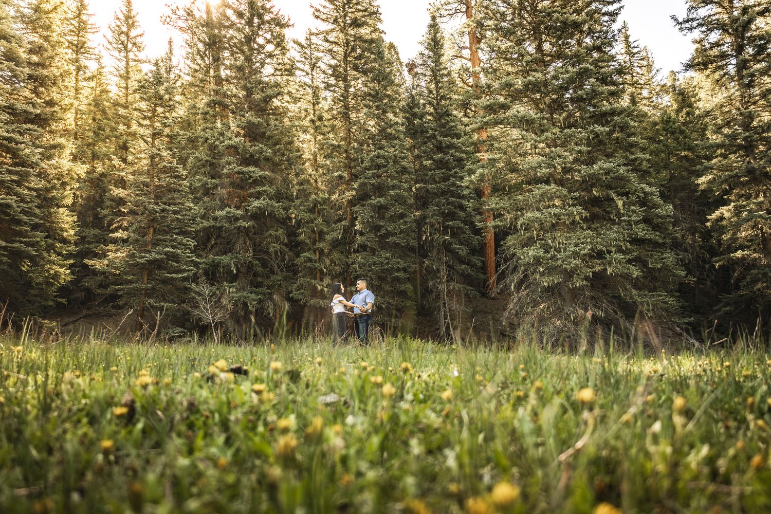 Mountain Engagement Session at sunset with tall trees
