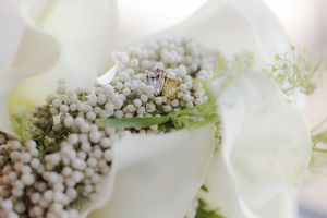 Close-up macro photograph of white calla lilies with delicate baby's breath flowers creating an elegant floral arrangement.