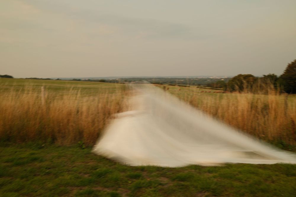Misty fields with tall grass stretch across a rural landscape at dusk.