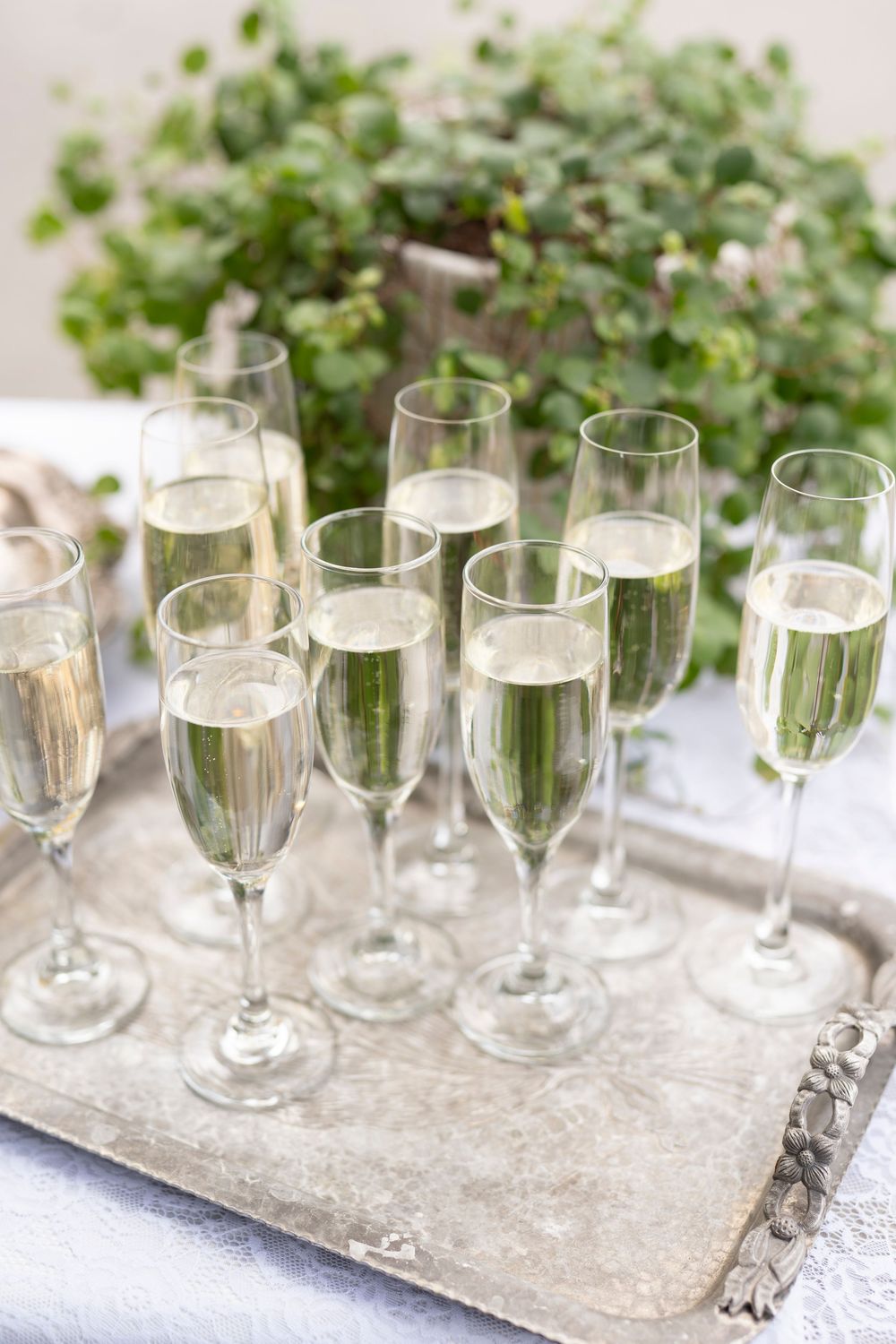 Elegant champagne flutes filled with sparkling wine arranged on a silver tray with green plants in the background.