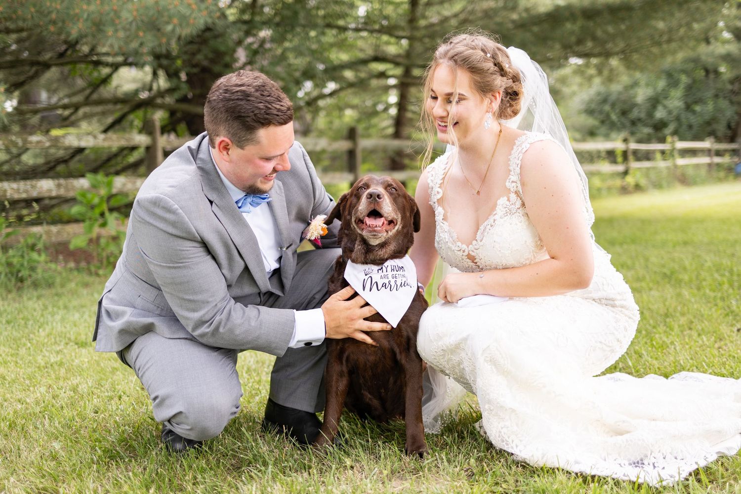 A couple in wedding attire shares joyful moments outdoors with their brown labrador retriever dog.