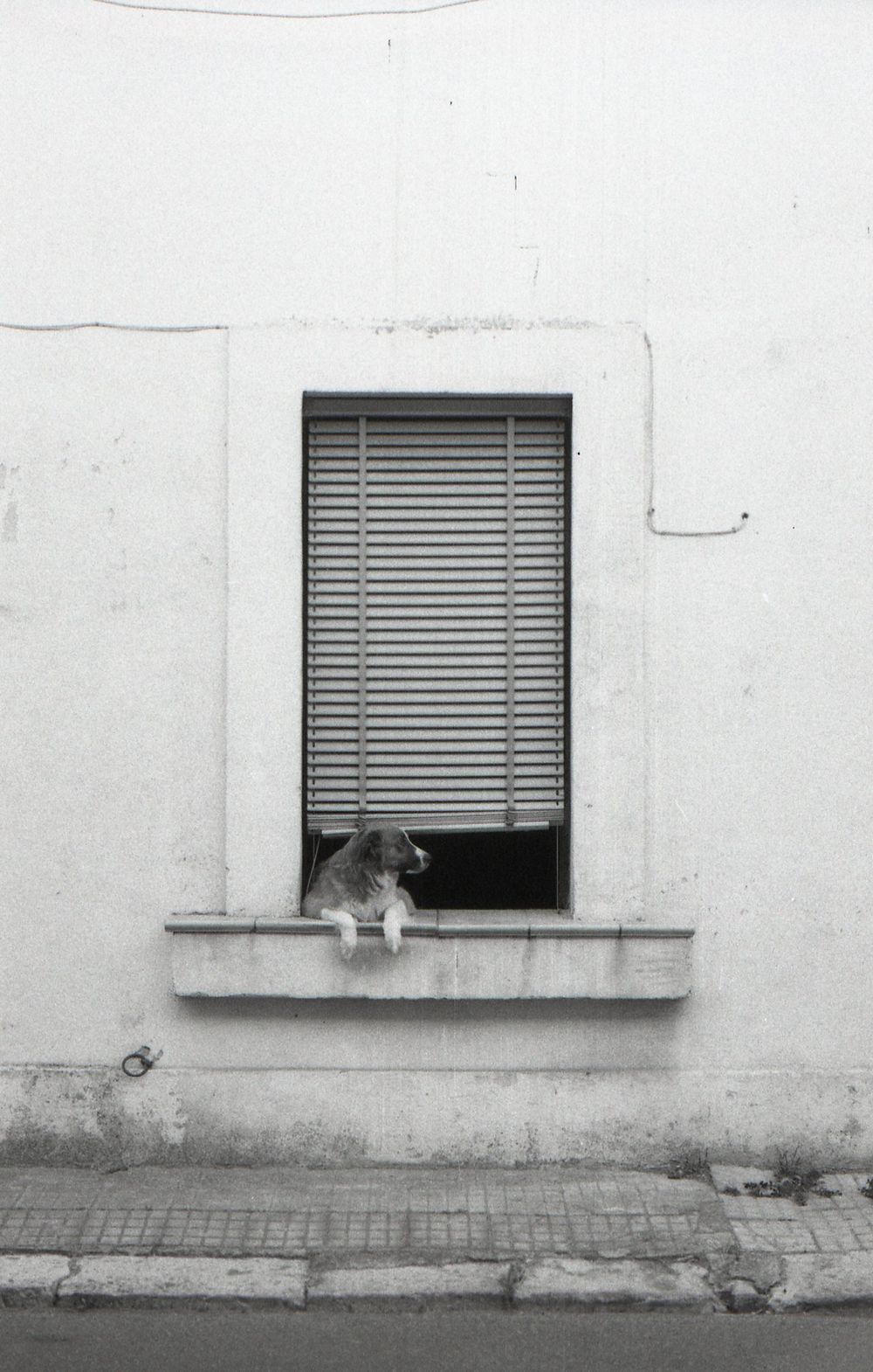 A black and white photograph shows three identical windows with blinds on a plain white building wall.