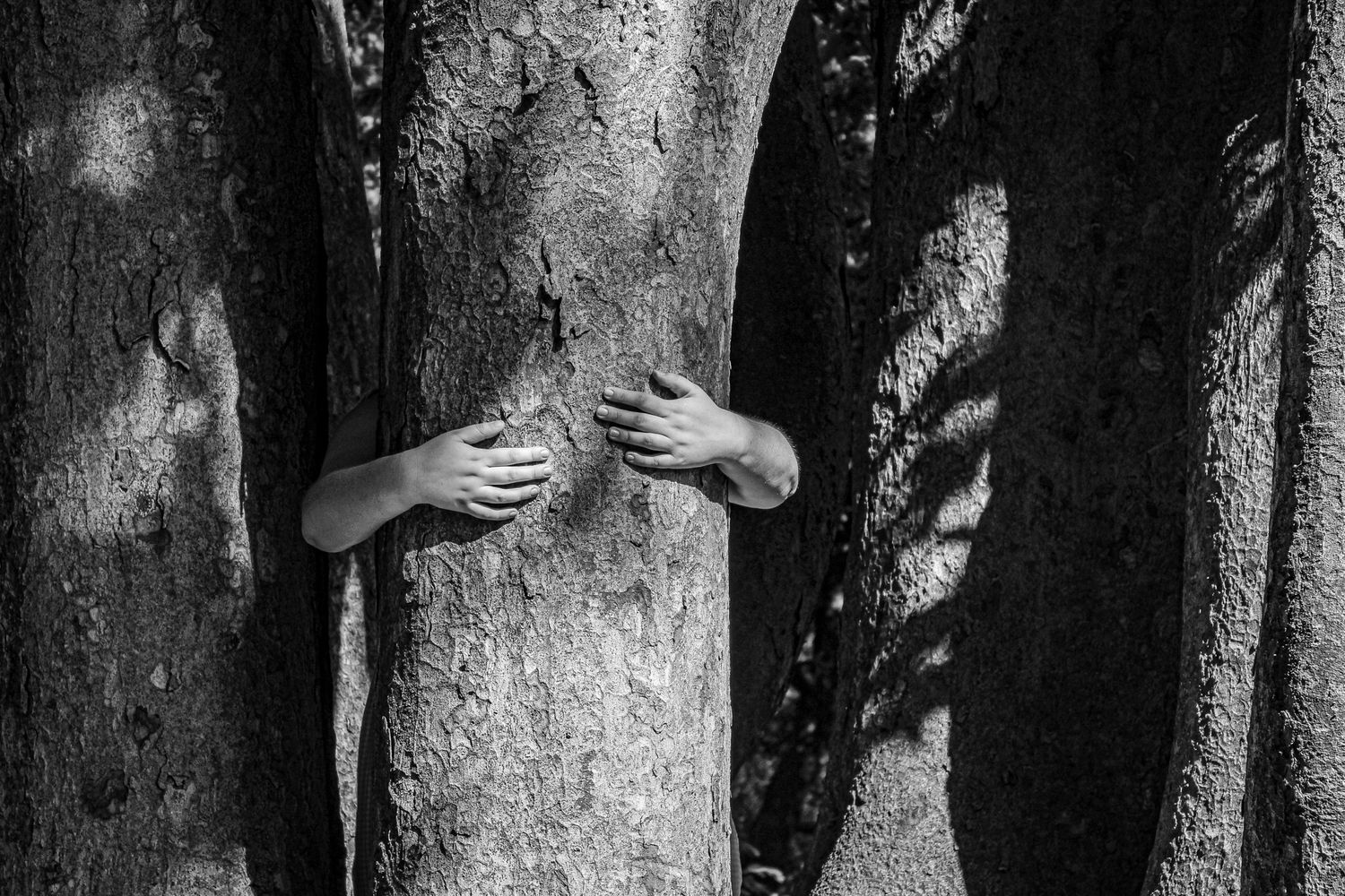 © 2022 Andrea Soto @asolopic . All rights reserved.