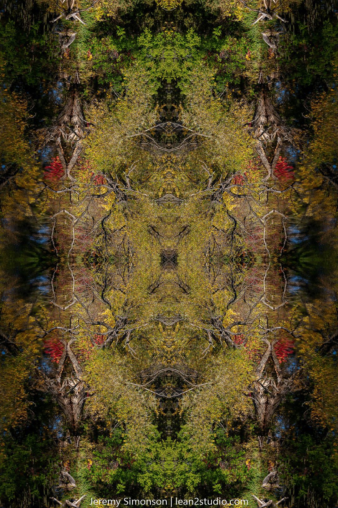 Mirrored forest reflection creating an abstract pattern in golden and green tones.